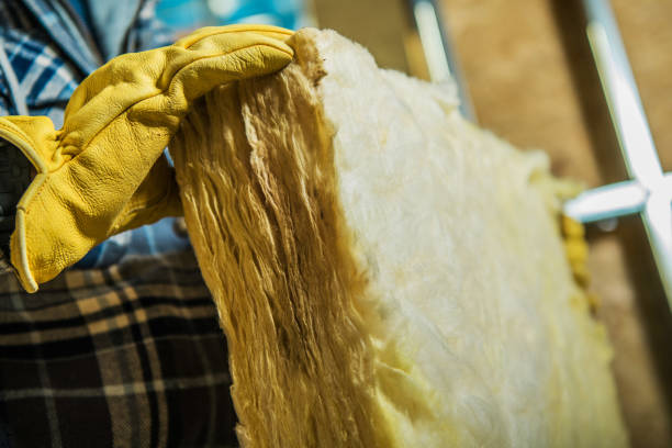 Best Eco-Friendly Insulation in Wolcott, IN